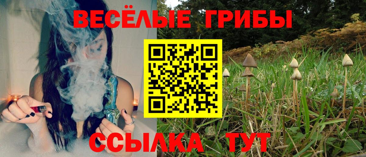 Мурино  Галлюциногенные грибы Magic Shrooms  Вход с VPN 
